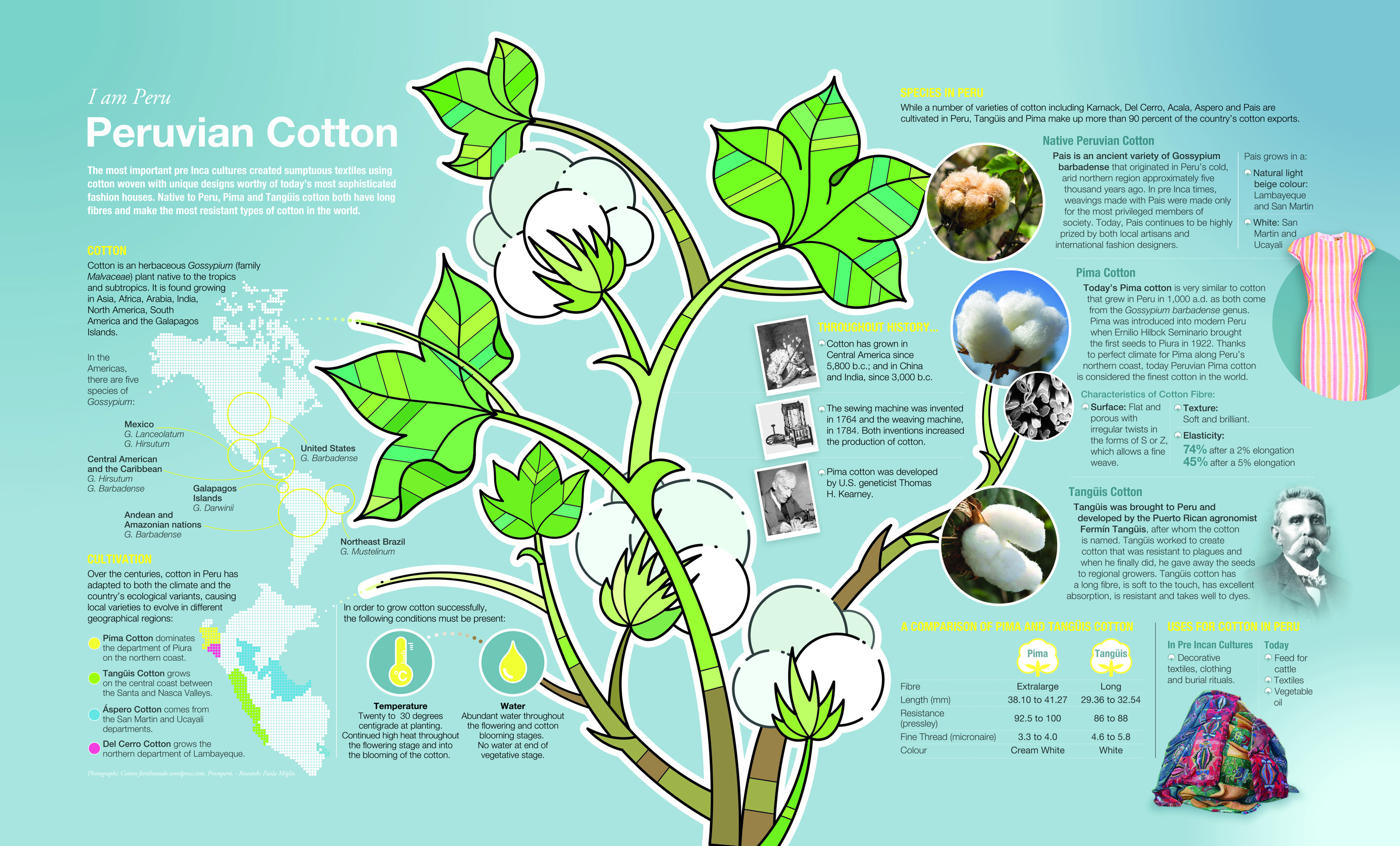 Peruvian cotton, a pleasure to touch